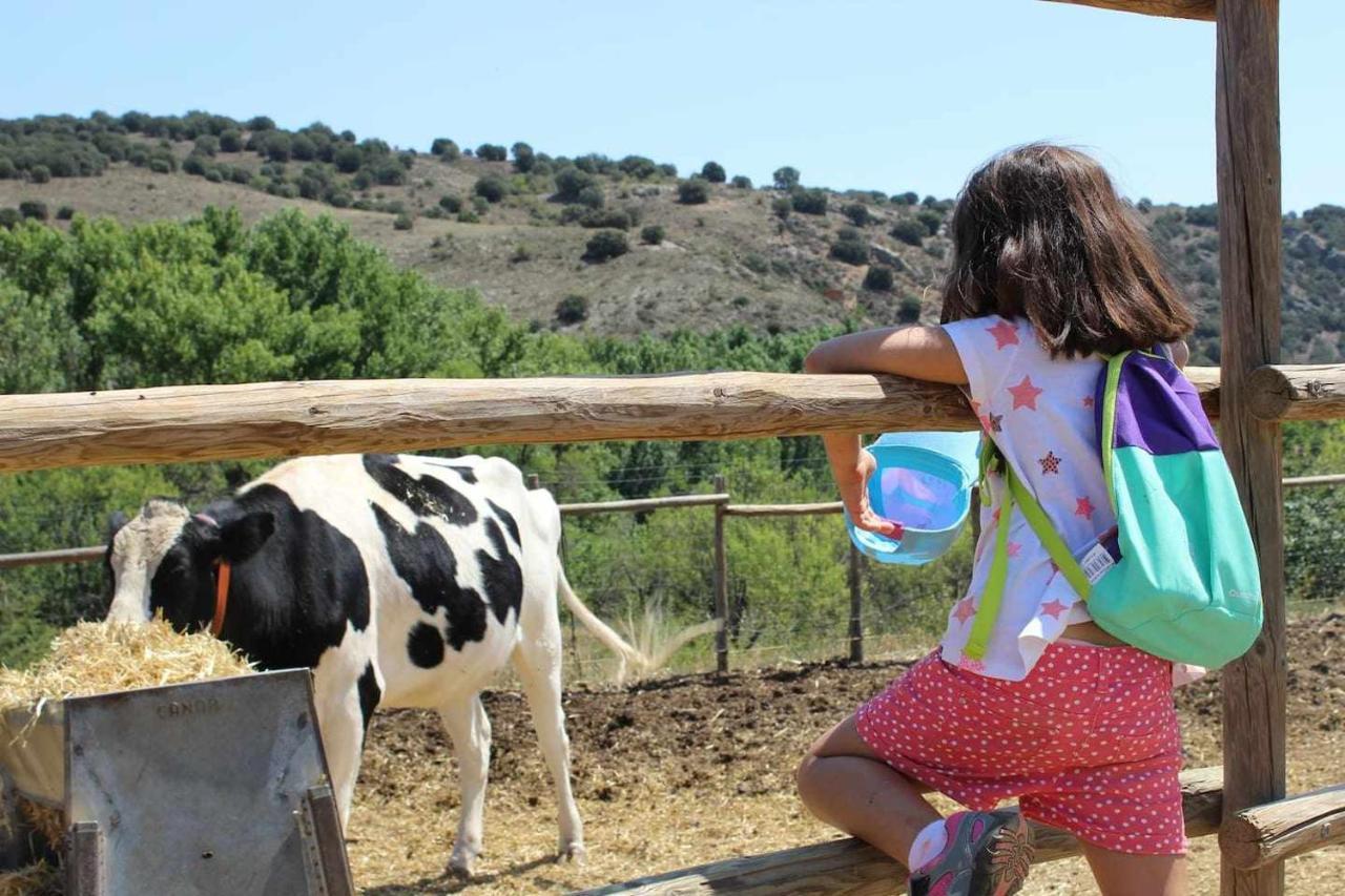 Casa El Tio Carrascon Alojamiento Rural Серверуэла Экстерьер фото